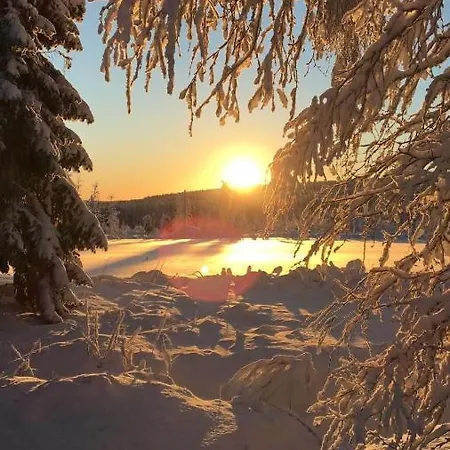 Loma-laattaja Hyrynsalmi